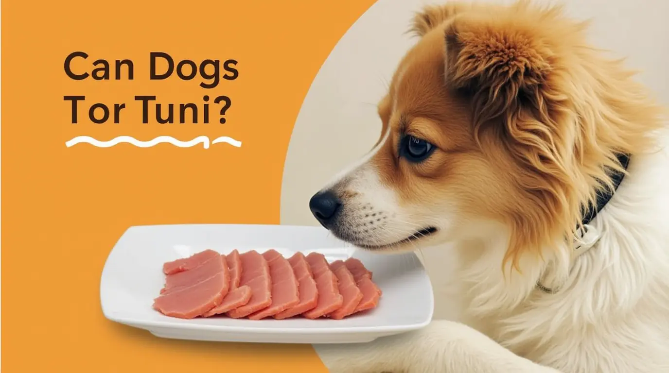 Can Dogs Eat Tuna