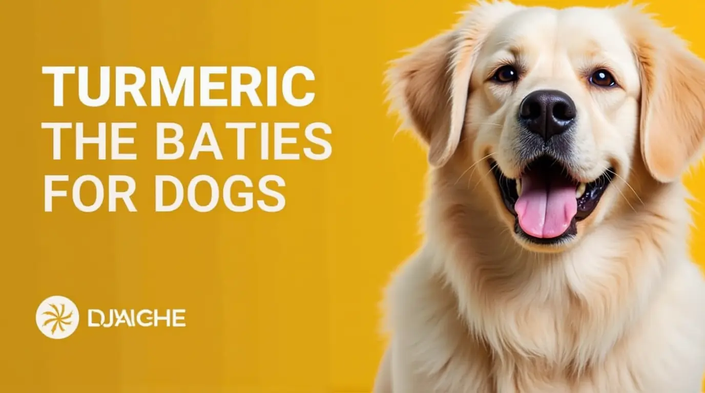 Turmeric for Dogs: A Guide to Better Health